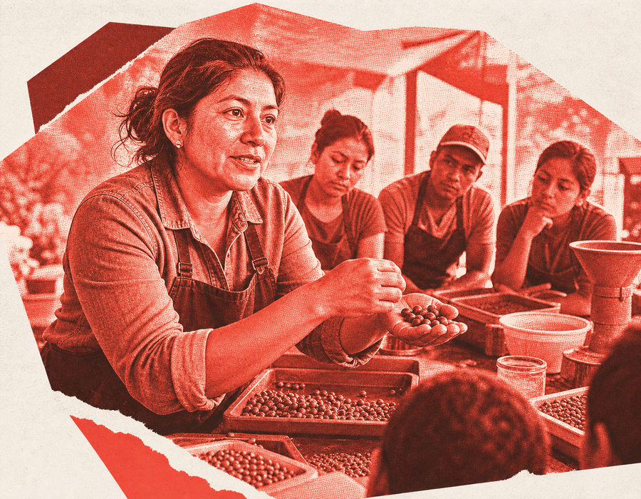 A producer-educator leads a practical coffee training workshop.